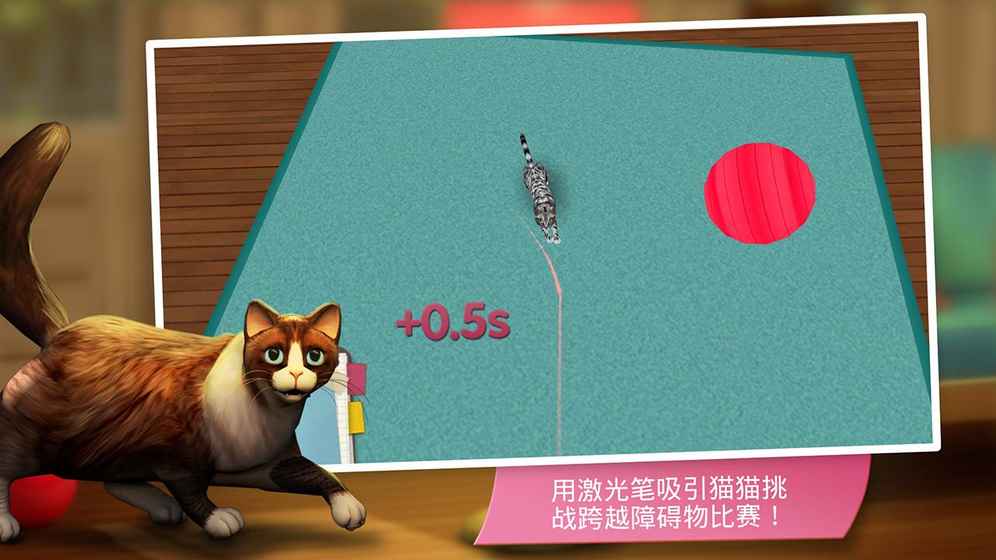 猫咪宾馆截图