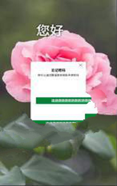 海盛花迈截图