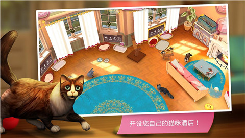 猫舍截图