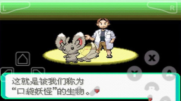 口袋妖怪漆黑的魅影截图
