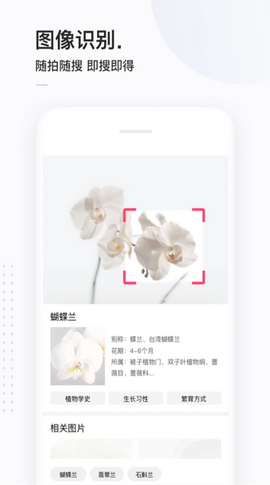 简单搜索截图