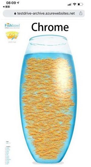 金鱼测试截图