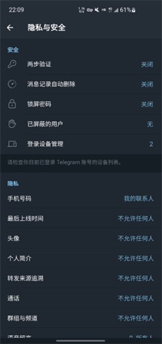 telegeramX中文版截图