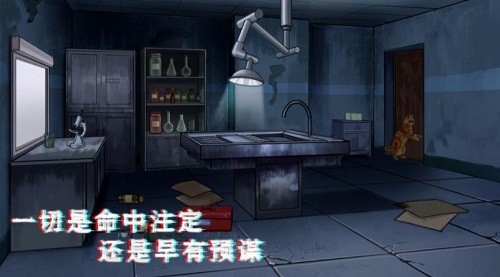密室与猫截图