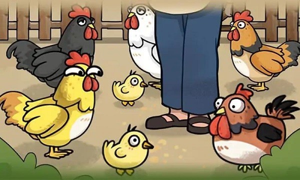 养鸡日记截图