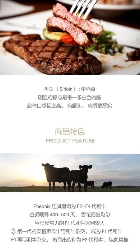 普冷库购截图
