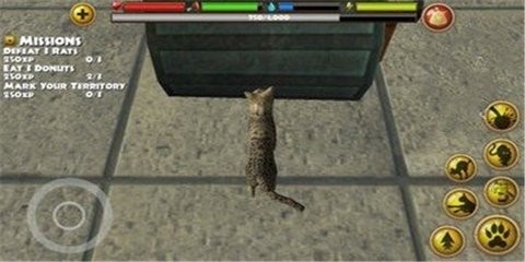 流浪猫咪求生截图