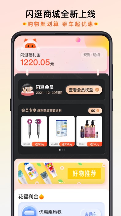 智惠行刷脸截图