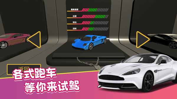 真实模拟司机驾驶截图