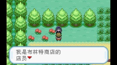口袋妖怪火红版截图