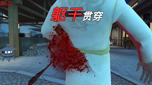 忍者信条3d截图