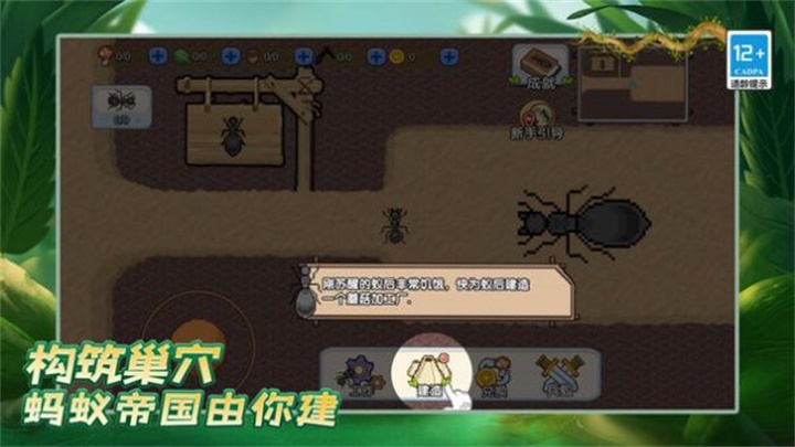 蚂蚁之王截图