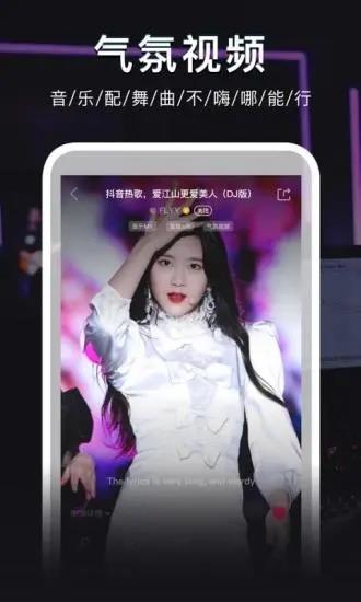 dj秀车载版截图