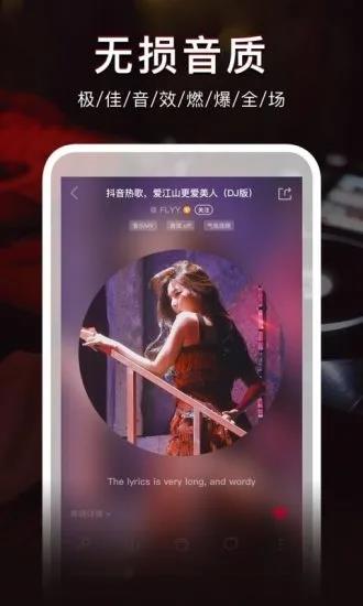 dj秀车载版截图