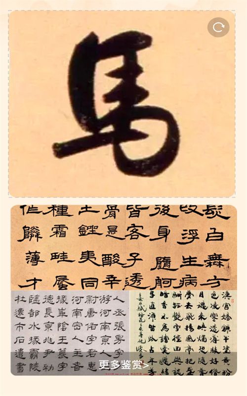 风雅一刷最新版截图