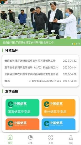 看叶识熟截图
