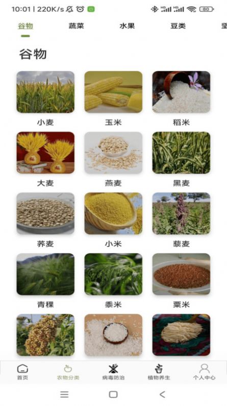 农场妙手截图