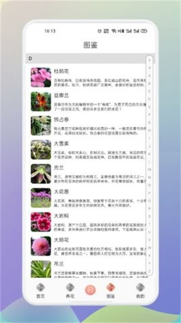 梦想鲜花截图