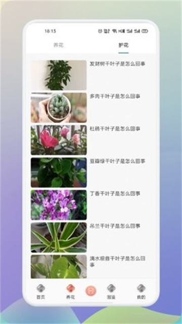 梦想鲜花截图