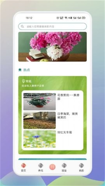 梦想鲜花截图