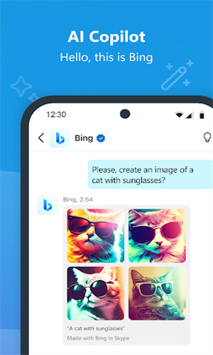 skype中文版app截图