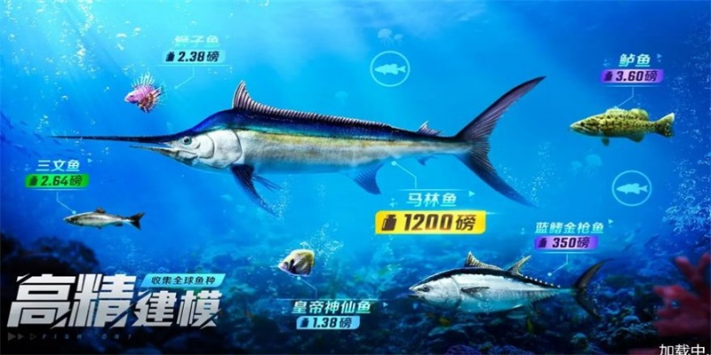 野外钓鱼大师截图