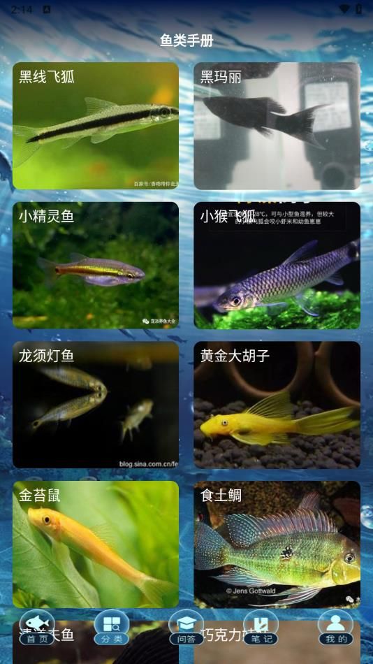 多多养鱼手册截图