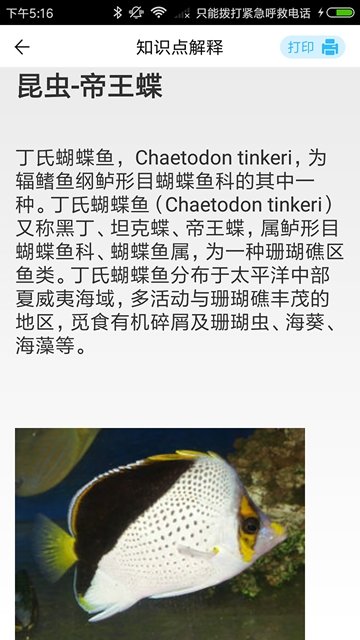 小蛙出海截图