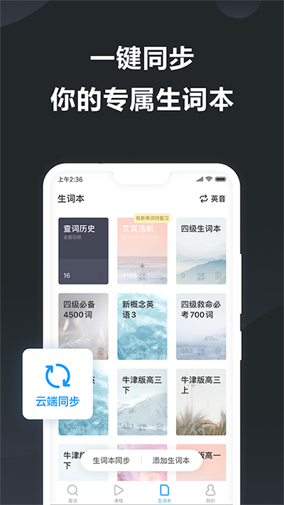 金山词霸翻译截图