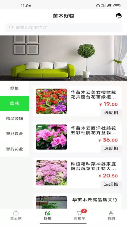 苗云卉截图