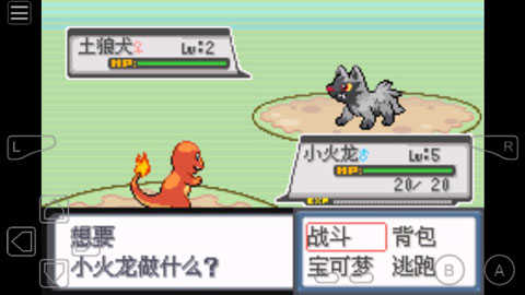 口袋妖怪白金截图