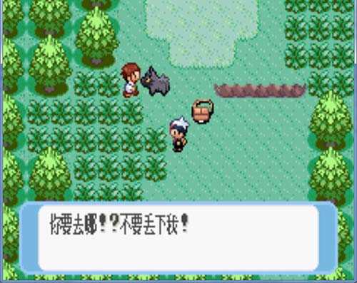 口袋妖怪蓝宝石截图