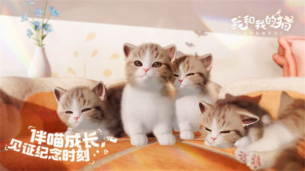 我和我的猫截图